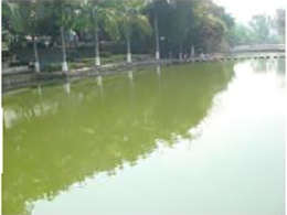 废水节能处理系统